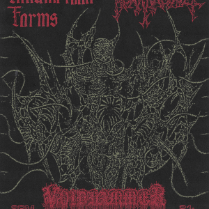 Innumerable Forms, Kommand Voidhammer